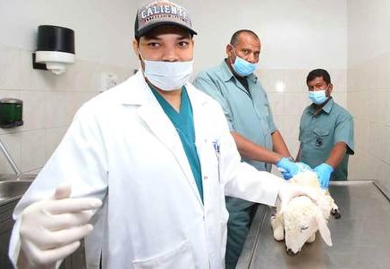  تعرف على دور د. سرور ظلام في تمثيل الإمارات خلال معرض الأغذية الدولي، ورؤيته لتطوير جودة الغذاء وتعزيز الأمن الغذائي.